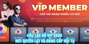 Câu Lạc Bộ Vip SV88 – Nơi Quyền Lợi Và Đẳng Cấp Hội Tụ