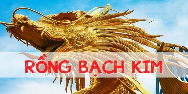 Mang lại nhiều công cụ hữu ích